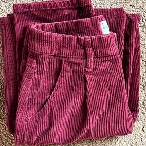 Hollister Maroon Pants